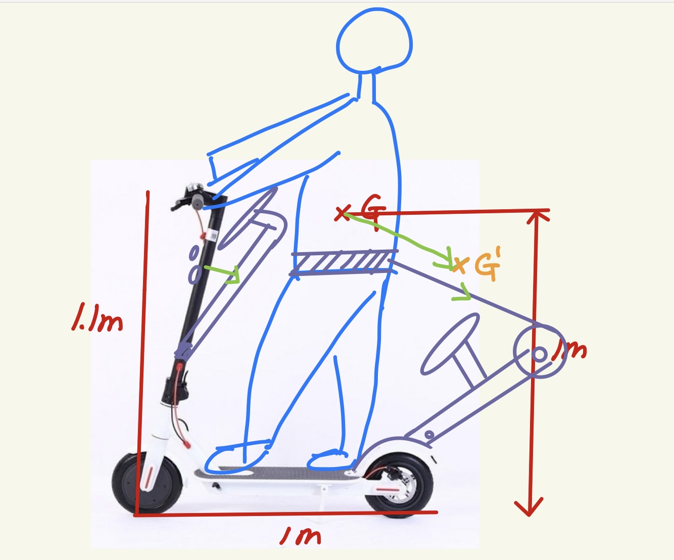 Scooter Safety Belt